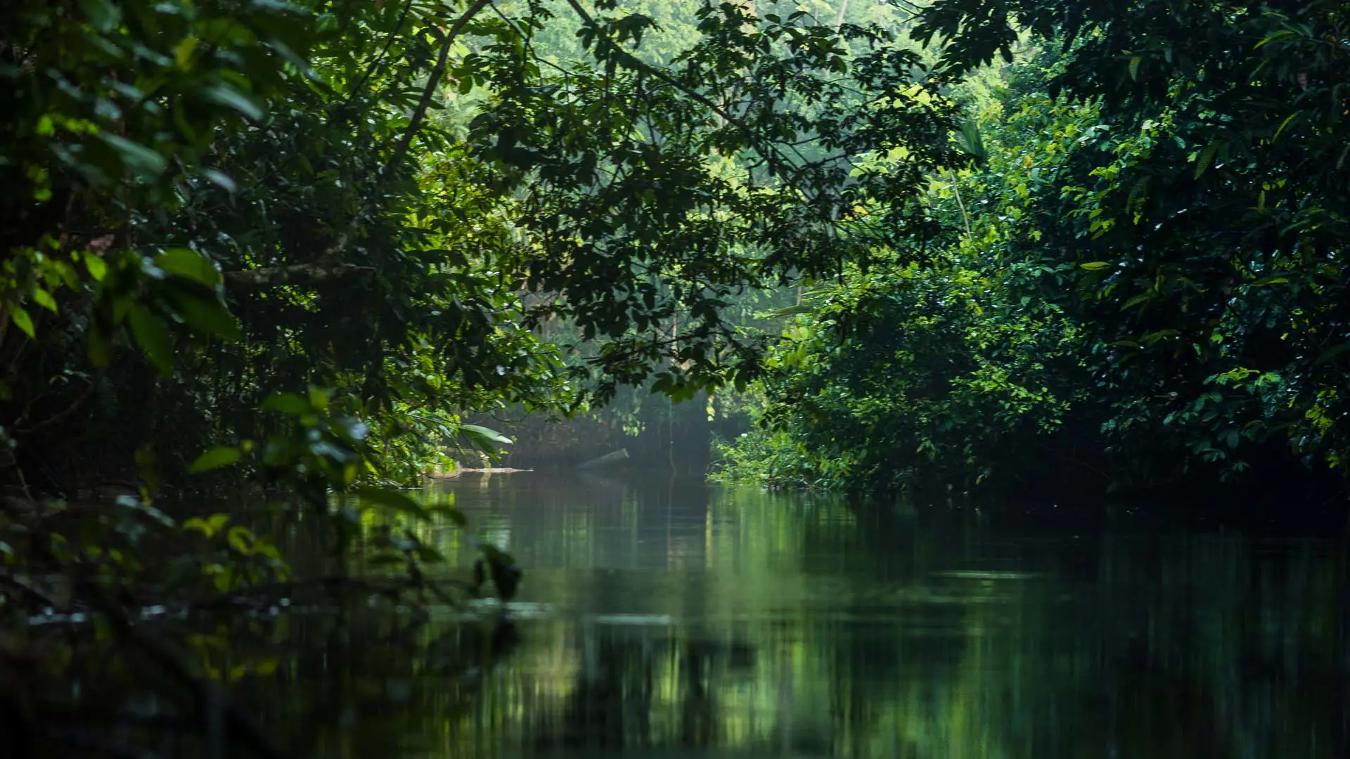 Reserva Nacional Pacaya Samiria