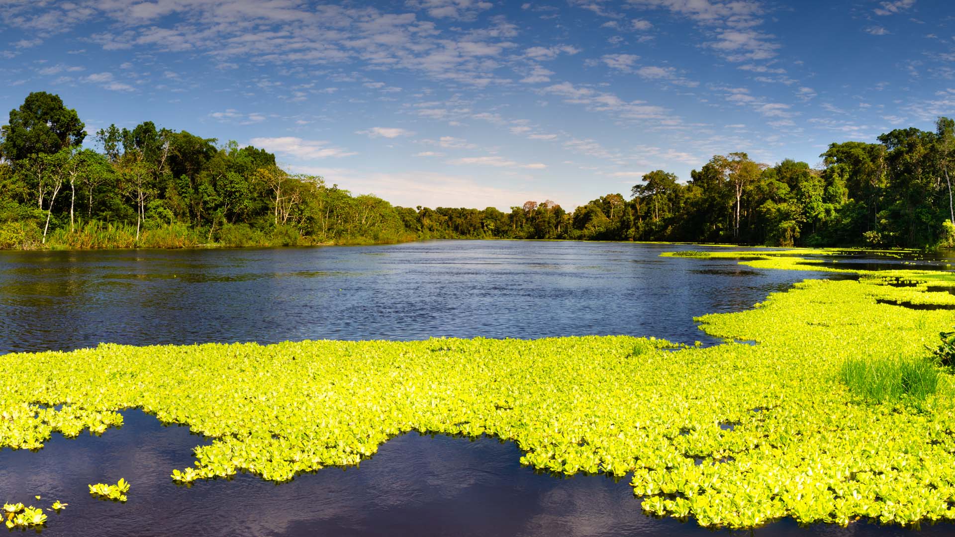 Reserva Nacional Pacaya Samiria