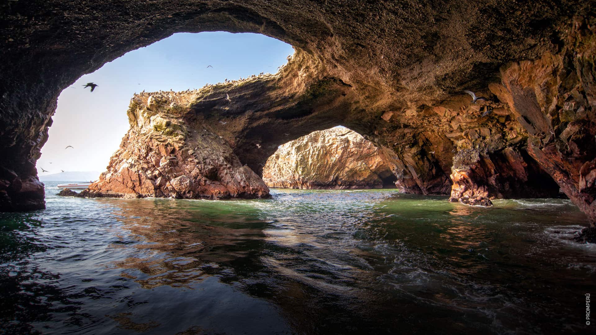 Isole Ballestas, Paracas / ©PROMPERÚ