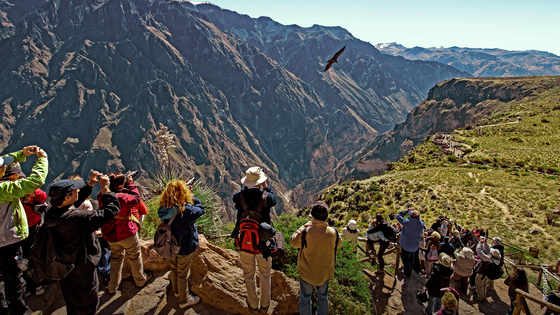turistas-en-el-mirador-del-canon-del-colca-desktop