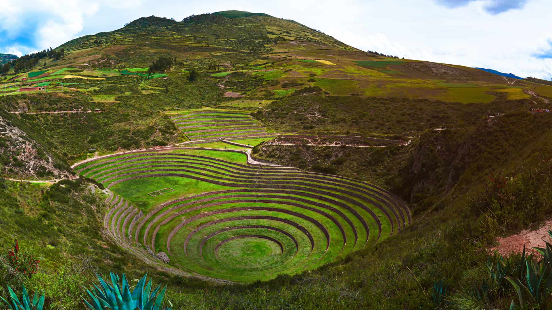 Moray