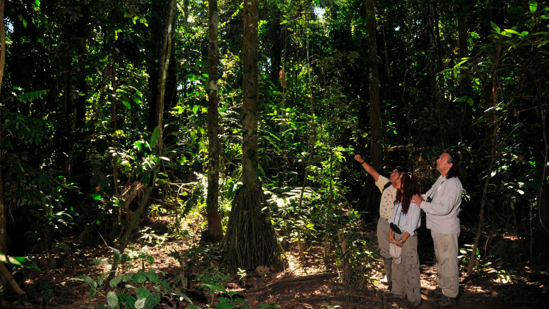 Tambopata