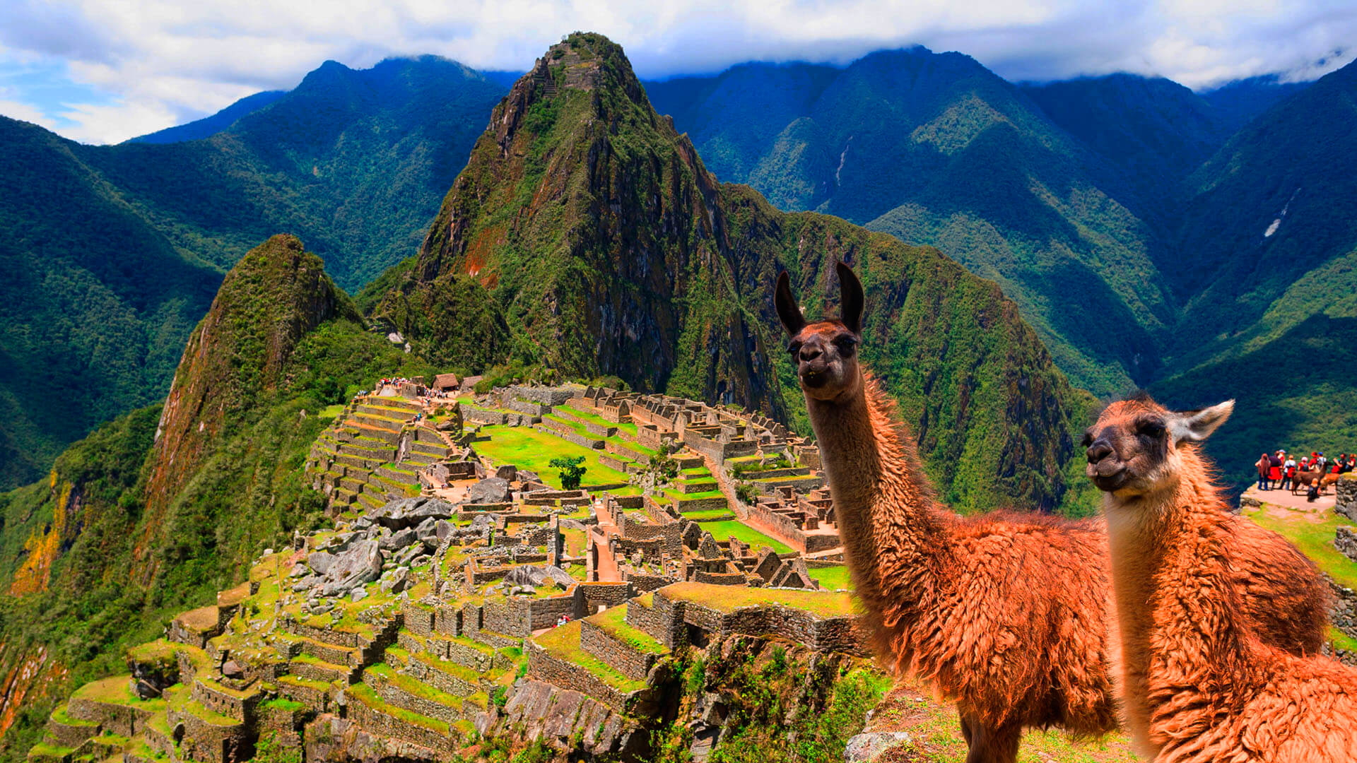 Machupicchu, Cusco