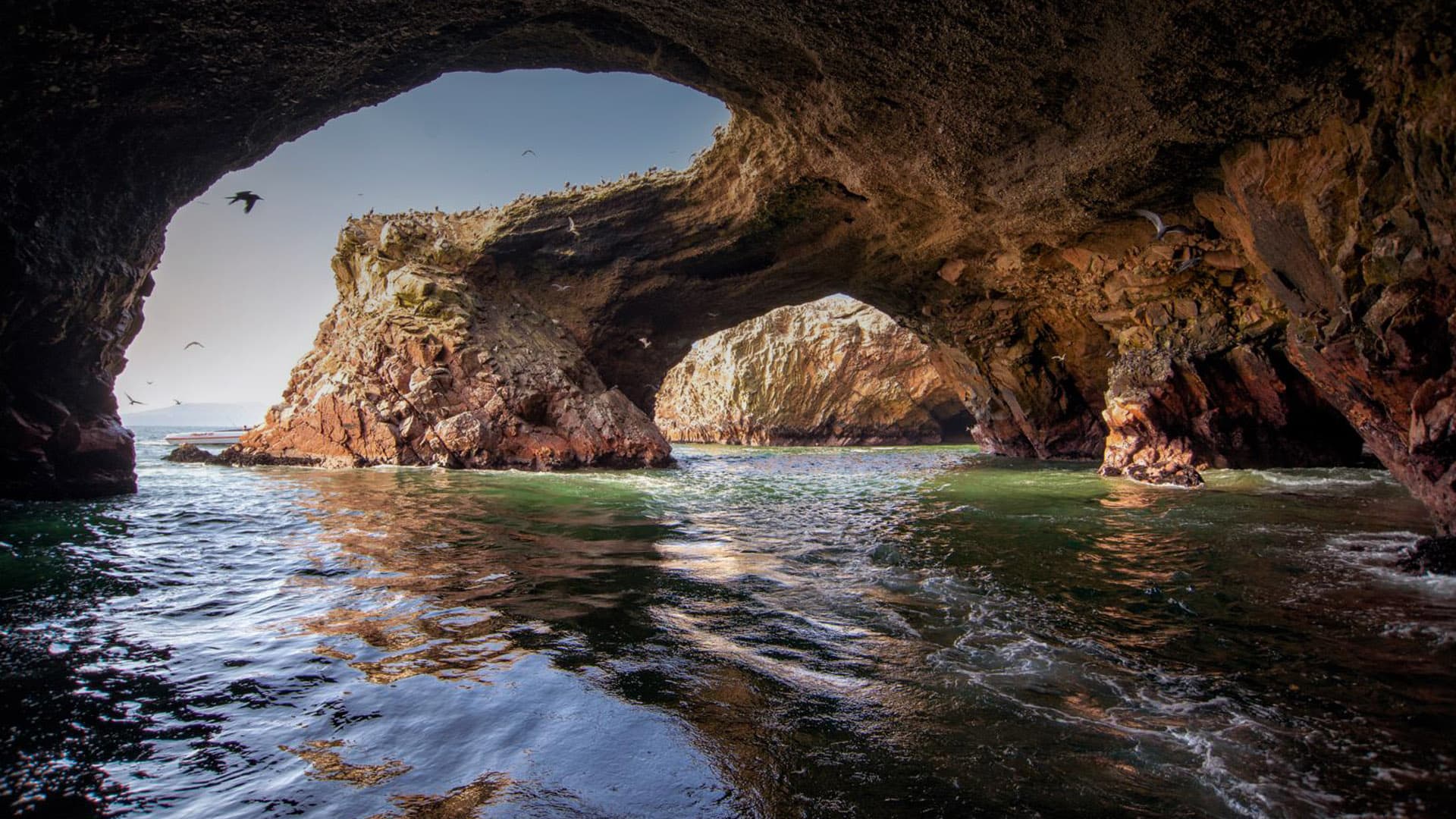Islas Ballestas, Ica