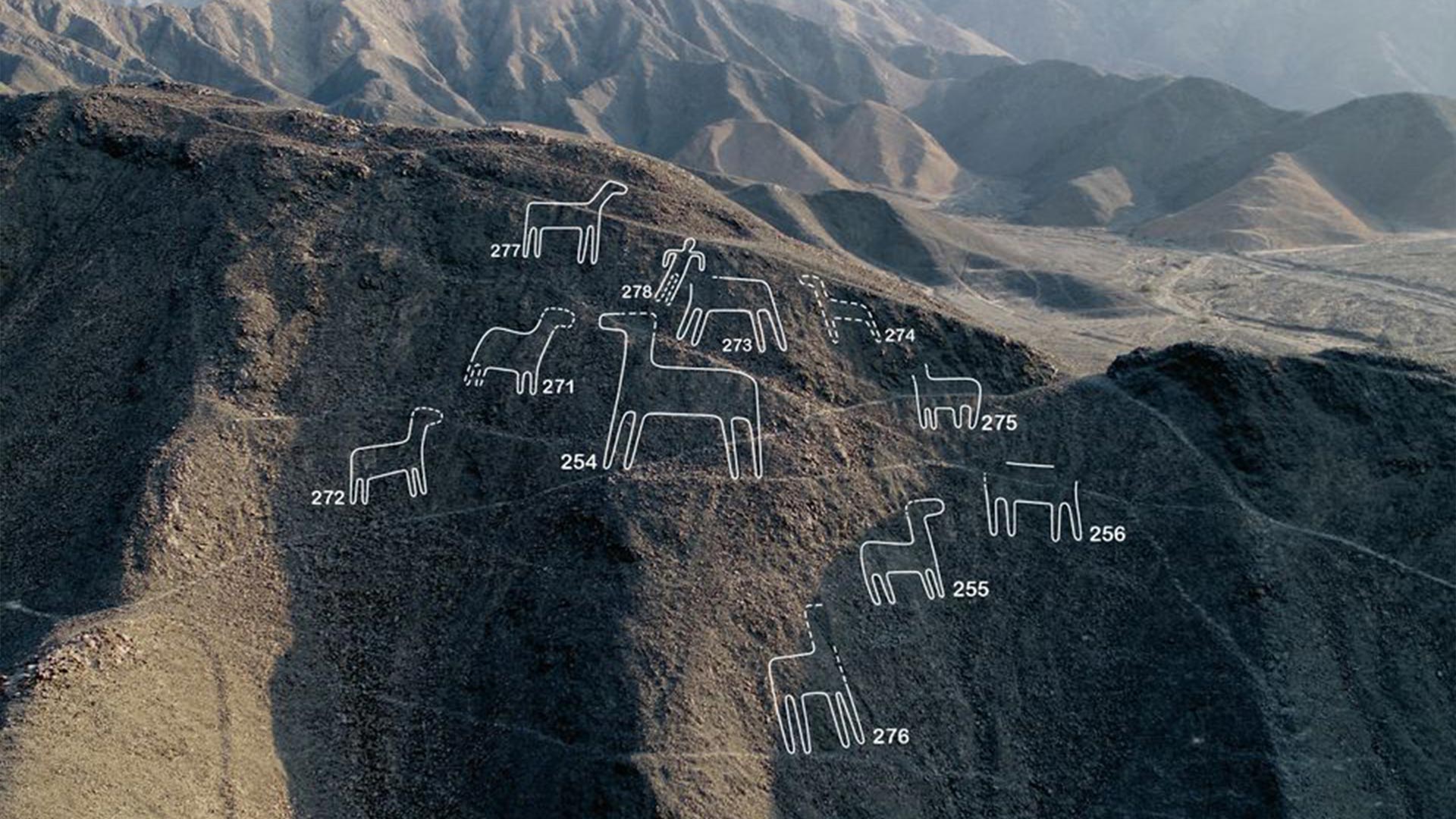Líneas y Geoglifos de Nasca y Palpa: Investigadores descubren 128 figuras