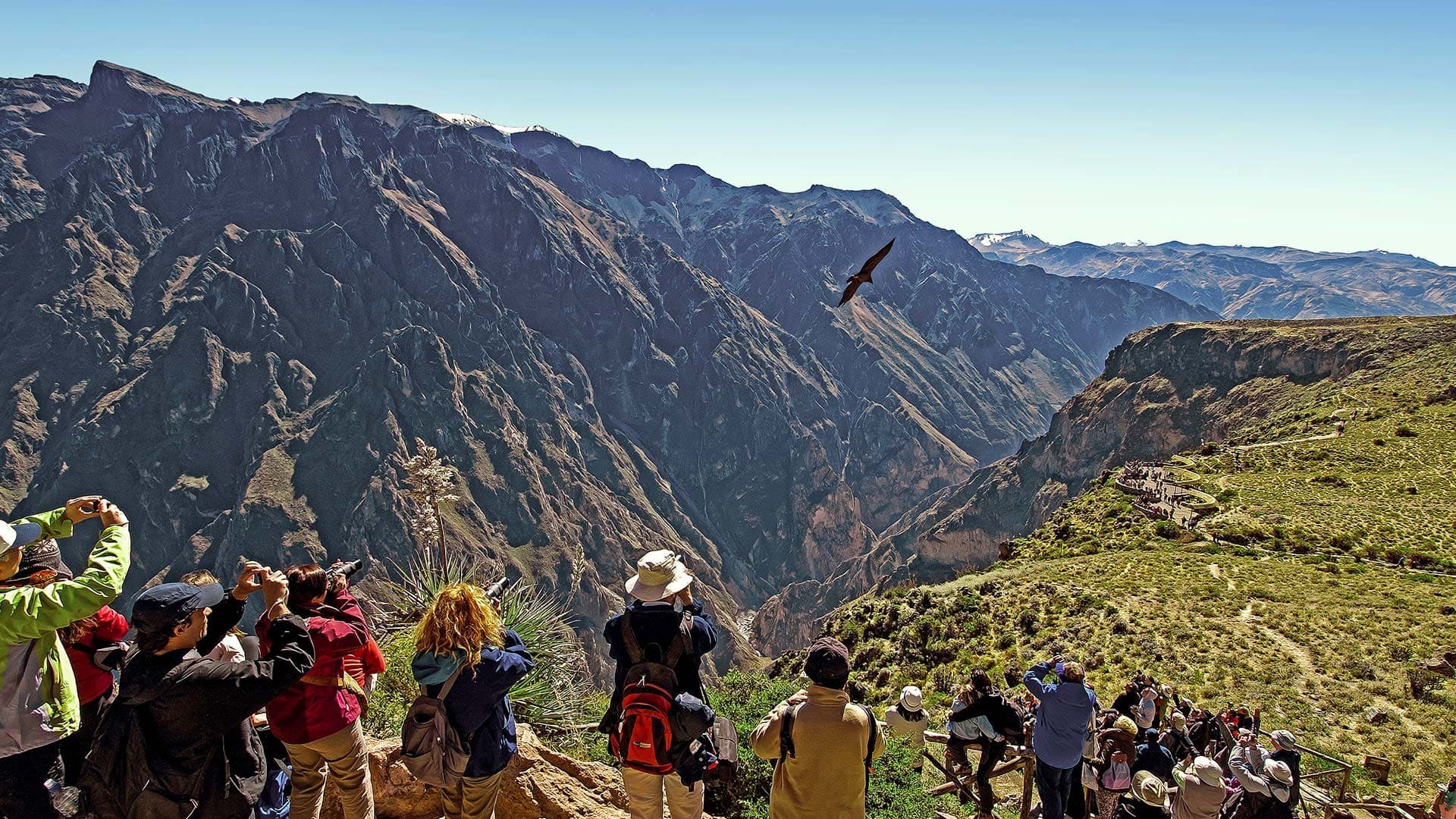 Mirador Cruz del Cóndor en el valle del Colca