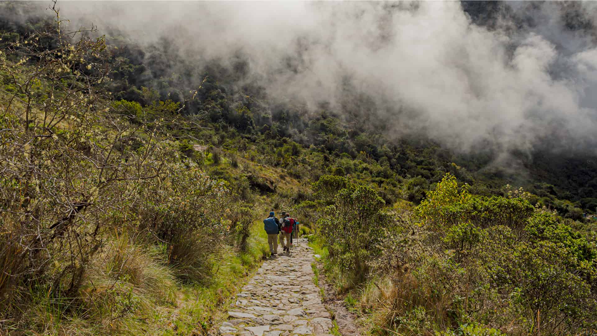 Chemin inca