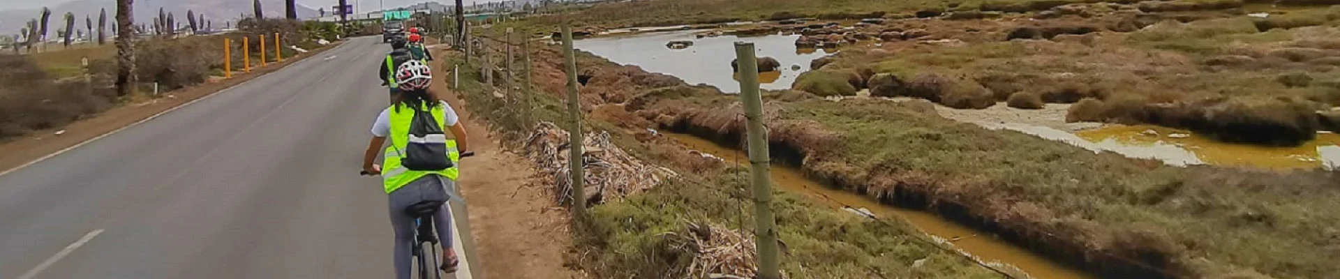 ANP Tour and Travel: Bicitour a Pantanos de Villa - Naturaleza y cultura en Lima