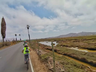 ANP Tour and Travel: Bicitour a Pantanos de Villa - Naturaleza y cultura en Lima