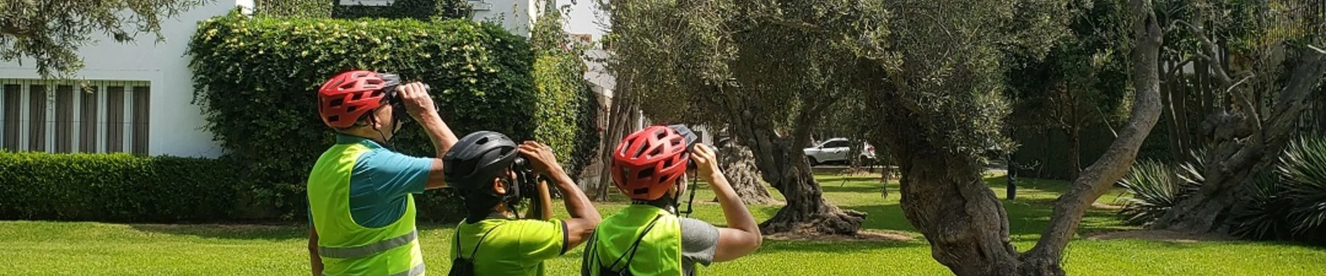ANP Tour and Travel: Bicitour entre Olivos y el Mar